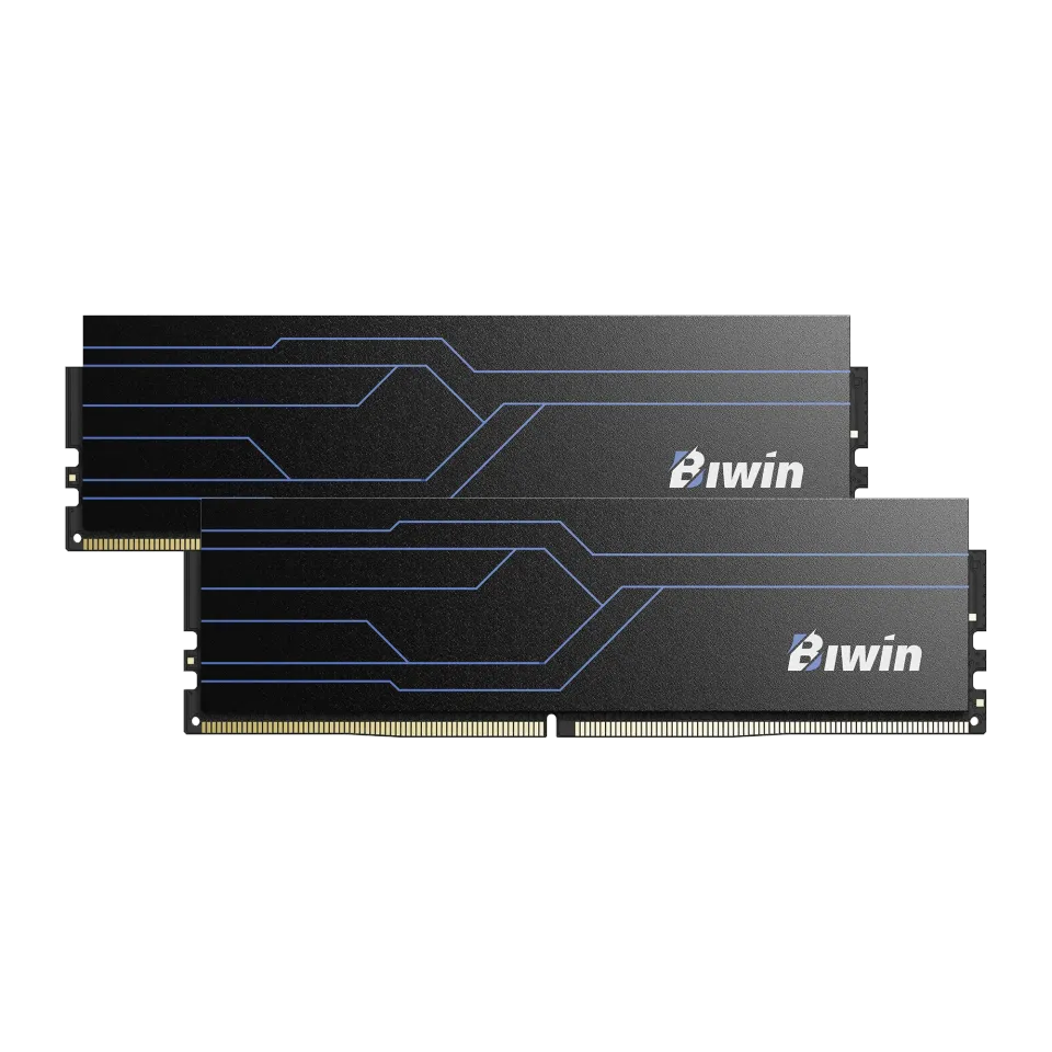 biwin-hw100-ddr4-arbeitsspeicher image 1
